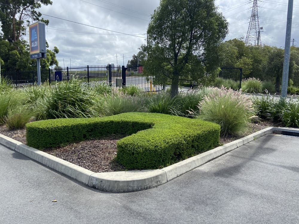 ALDI store carpark hedges and grasses maintenance