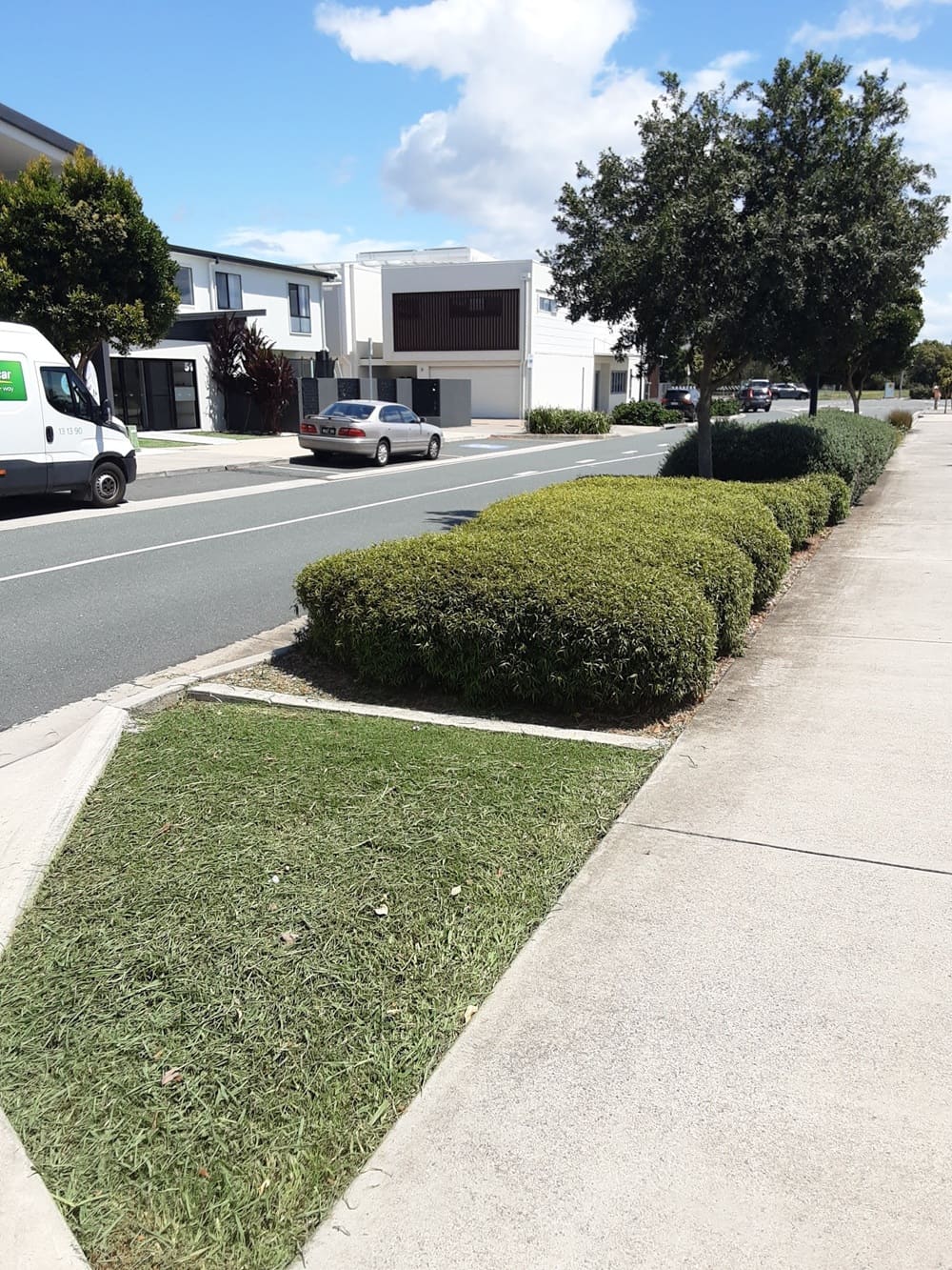 Well-maintained commercial streetscape hedges