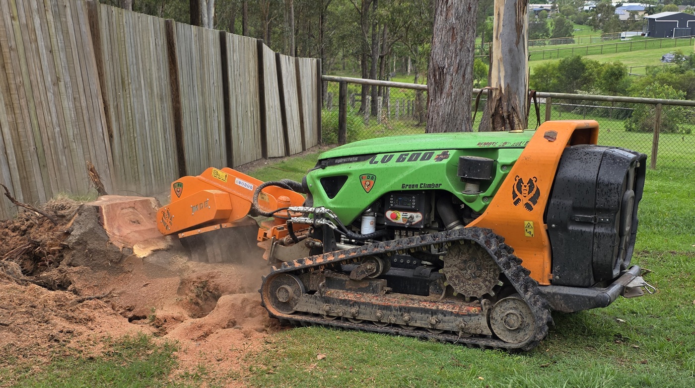 Arboricultural Services — Element Queensland commercial landscape services
