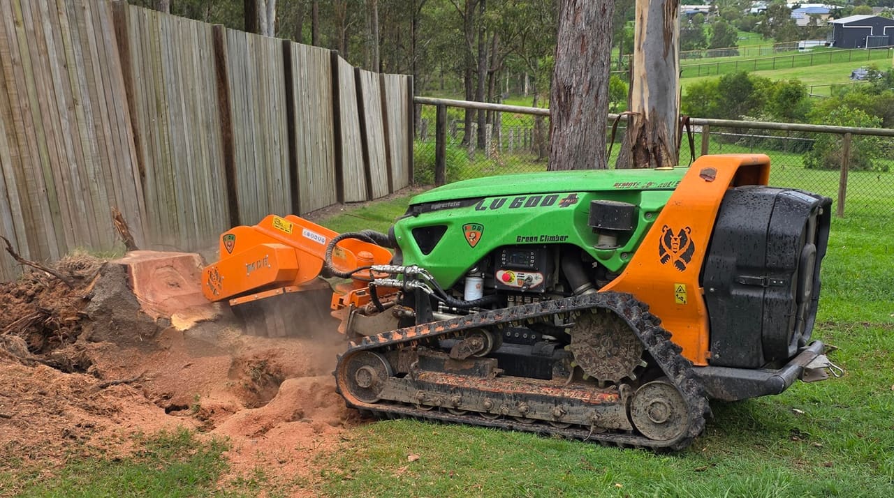 Arboricultural Services — Element Queensland commercial landscape services