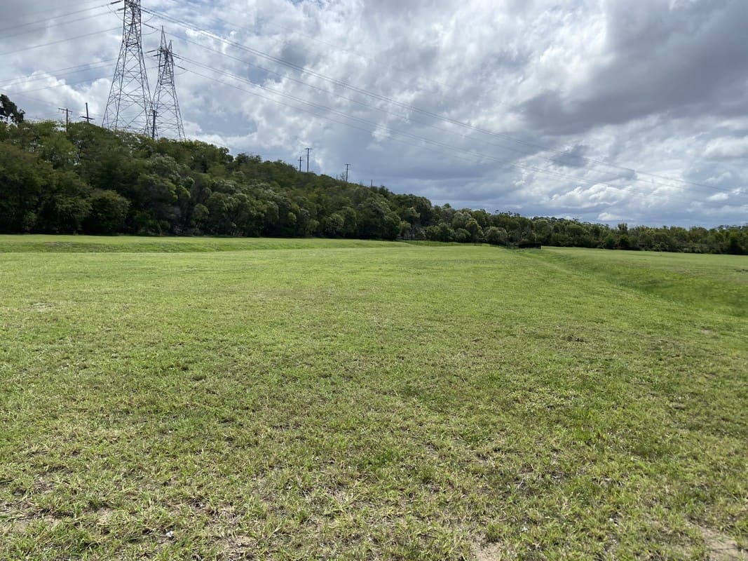 Wide commercial open-space turf area maintained by Element Queensland