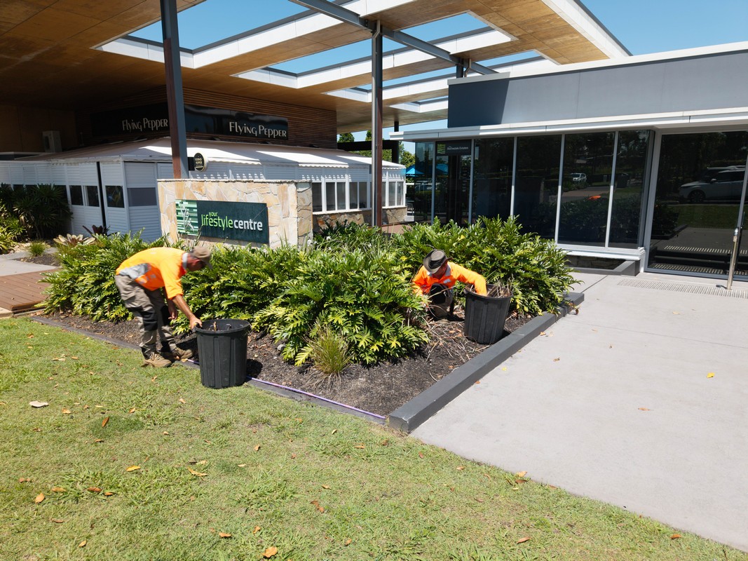 Element Queensland crew refurbishing a commercial entrance garden bed