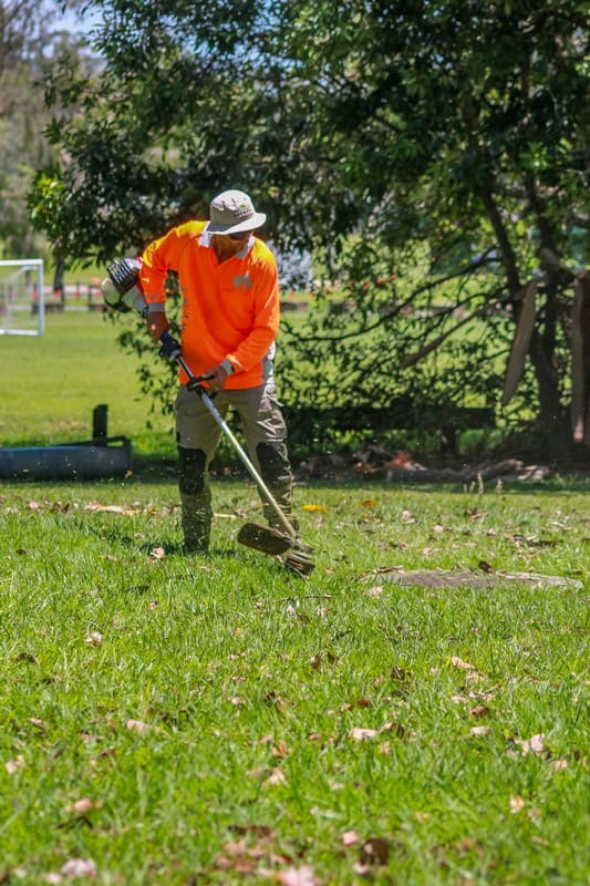 Crew line trimming at park