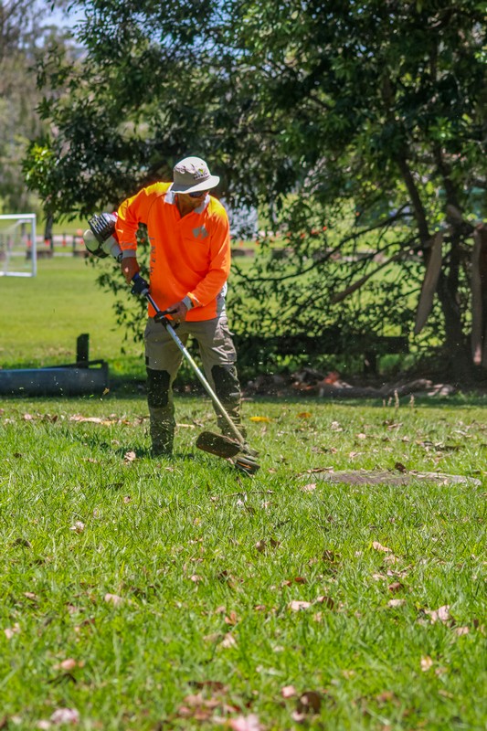 Crew line trimming at park