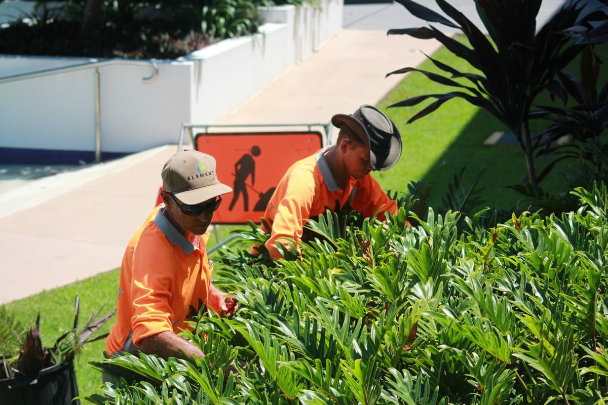 Arborist pruning garden bed wearing Element branded cap