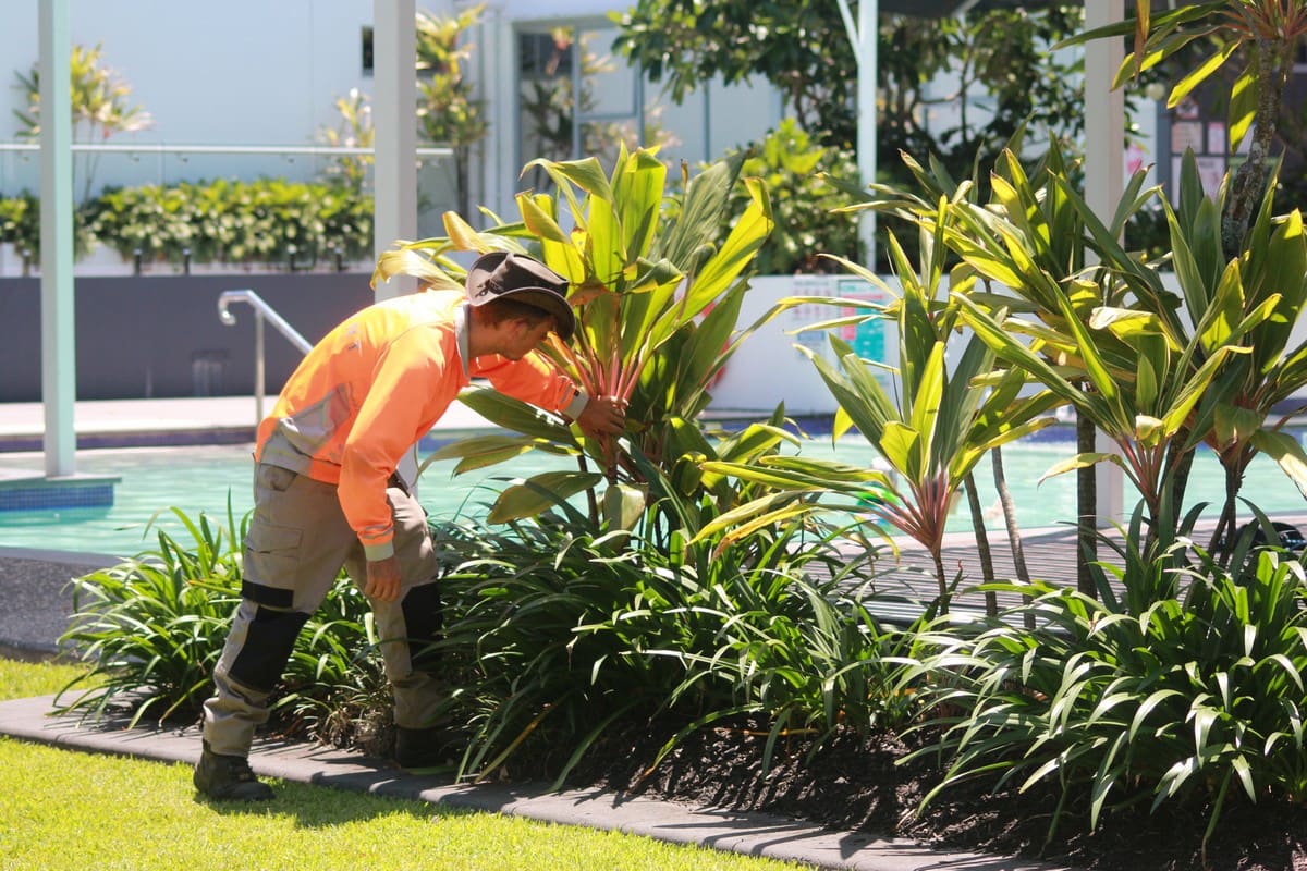 Element Queensland crew pruning tropical plants in poolside garden