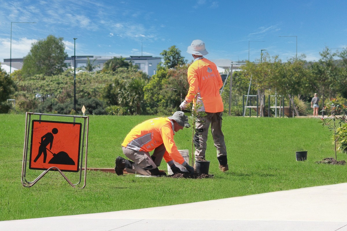 Arborist conducting visual tree assessment at park with safety signage