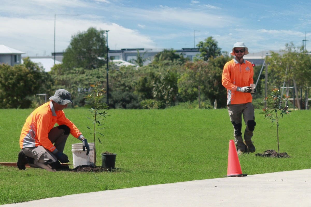 Two crew members planting trees along pathway