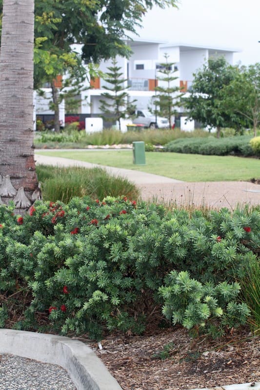 Newport estate garden beds and pathways