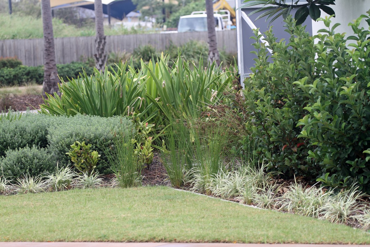 Newport estate garden beds with mixed plantings and turf