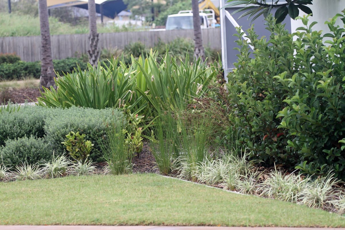 Newport estate garden beds with mixed plantings and turf