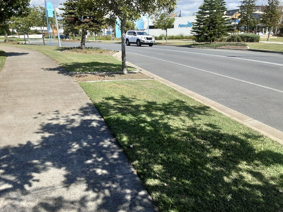 Newport roadside turf and street tree maintenance